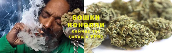 твердый Аркадак