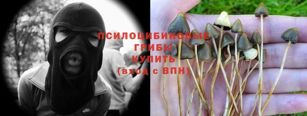 PSILOCYBIN Алексин