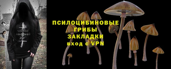 соль курить ск Алзамай
