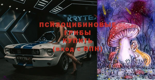 PSILOCYBIN Алексин