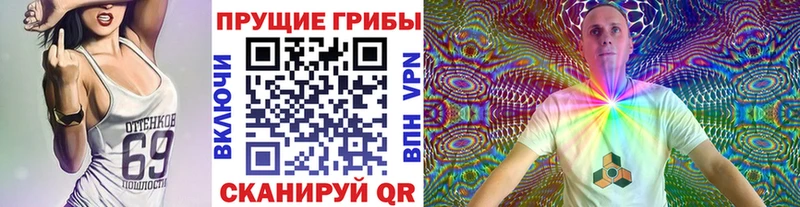 кракен как войти Пушкино Псилоцибиновые грибы Psilocybe